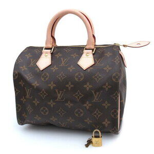 Louis Vuitton Monogram Speedy handbag